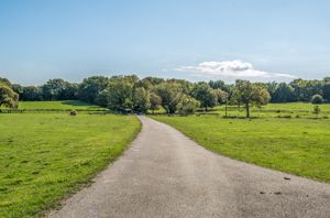 Photo 71- click for photo gallery